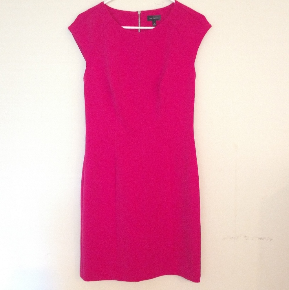 NWOT The Limited Sheath dress